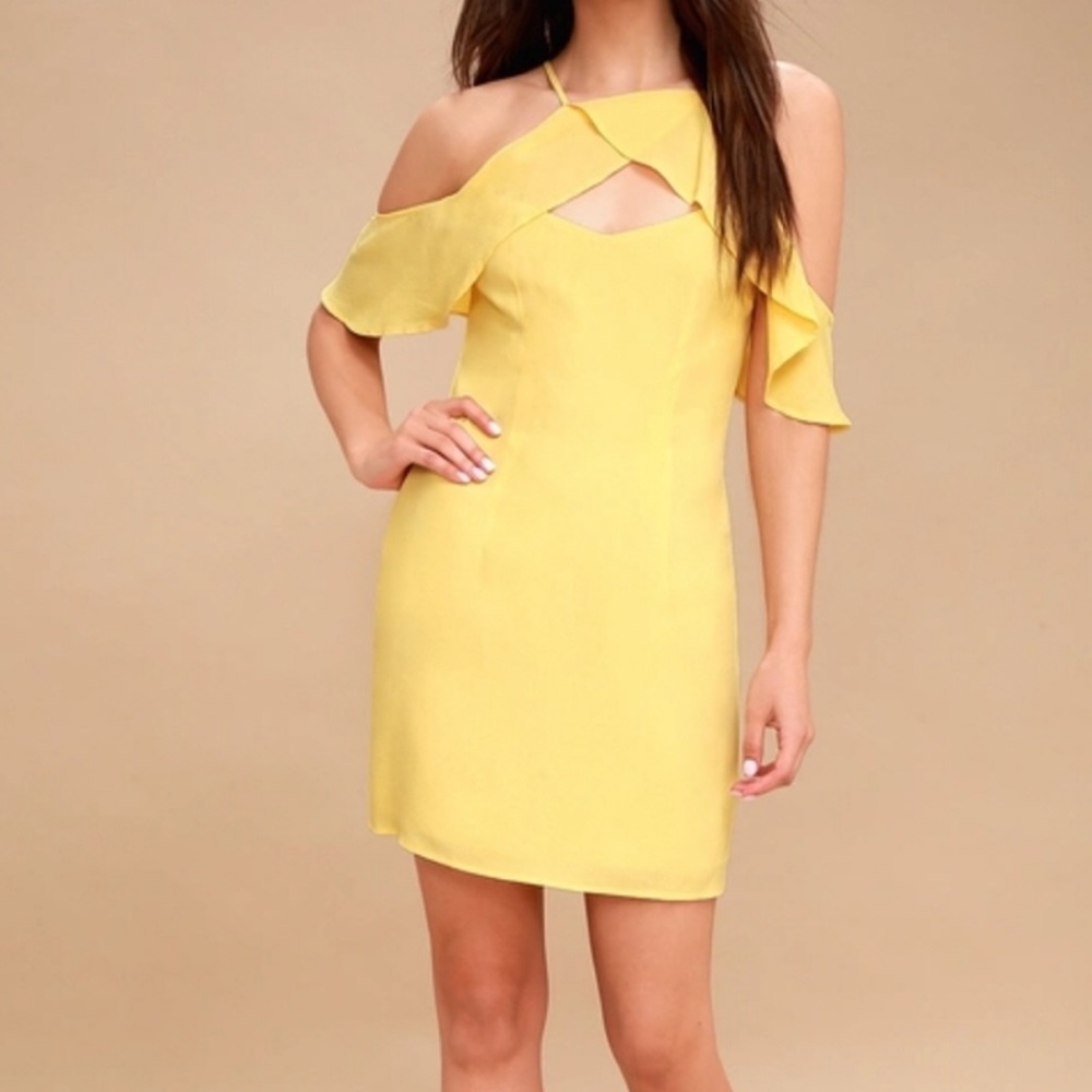 BB Dakota Kaless Flirty Pastel Ruffle Dress Sz 6
